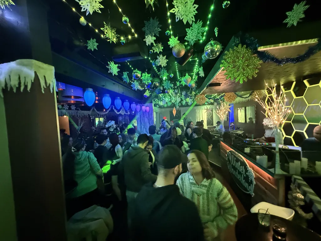 A DJ and dance-floor crowd surrounded by green holiday lights, ornaments, and paper snowflakes