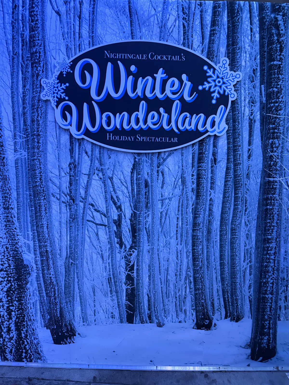 Winter Wonderland Holiday Spectacular sign against a blue-lit snowy forest photo backdrop
